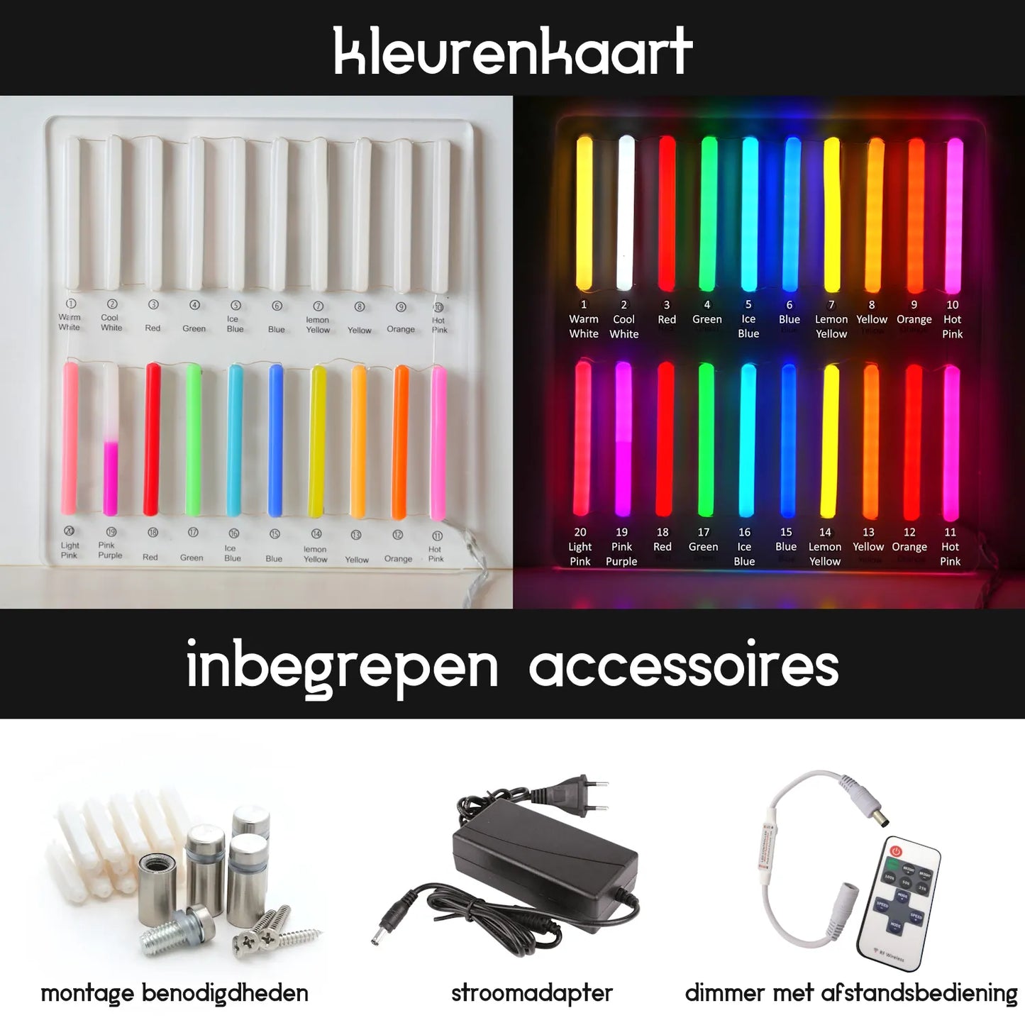 Carpe Diem Neon Licht